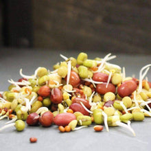 Load image into Gallery viewer, Organic Bean Salad Mix Sprouting Seeds (4 ounces)
