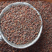 Load image into Gallery viewer, Organic Broccoli Sprouting Seeds (4 ounces)