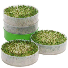 Load image into Gallery viewer, Deluxe Kitchen Crop & Seed Sprouter Trays