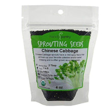 Load image into Gallery viewer, Organic Chinese Cabbage Sprouting Seeds (4 ounces)
