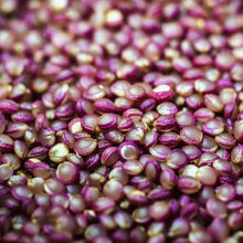 Load image into Gallery viewer, Red Garnet Amaranth Herb Seeds (500mg)