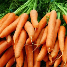 Load image into Gallery viewer, Organic Little Finger Carrot Seeds (500mg)