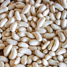 Load image into Gallery viewer, Organic Cannellini Bush Beans (28g)